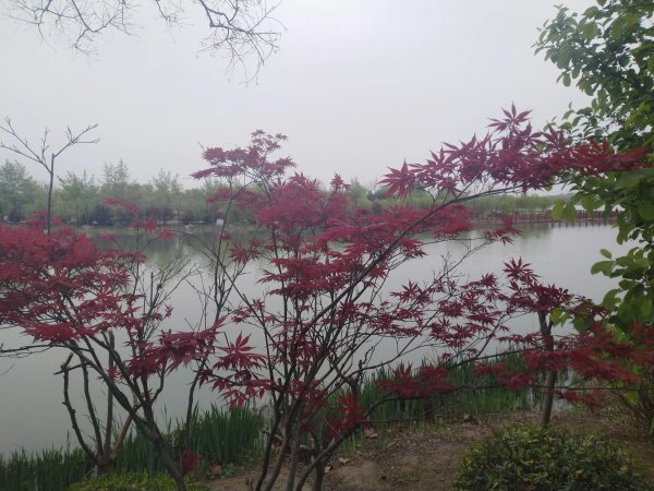 情绪abc理论举例说明