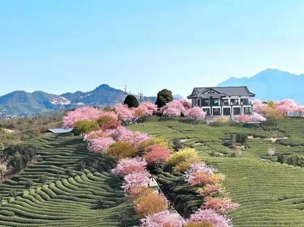 福建龙岩旅游必去十大景点推荐