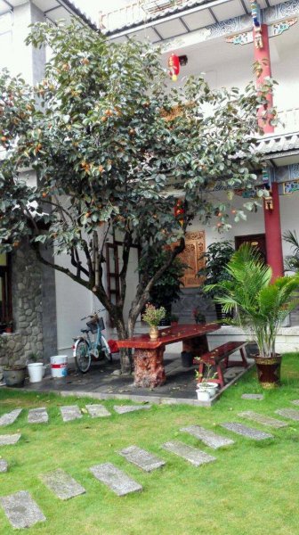 庭院十大吉祥树排名