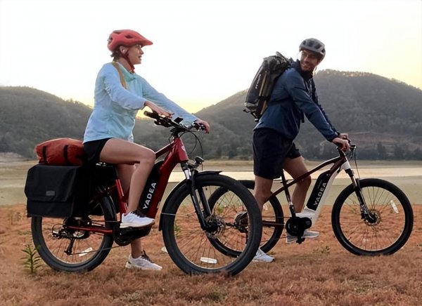 中国十大名牌电动自行车