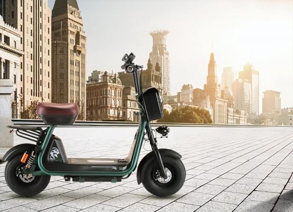 中国十大名牌电动自行车