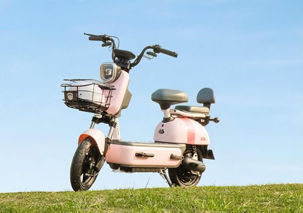 中国十大名牌电动自行车