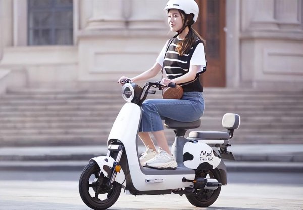 中国十大名牌电动自行车