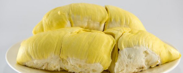 榴莲和猕猴桃原产地是哪