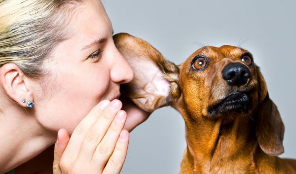 摸耳朵是什么心理暗示