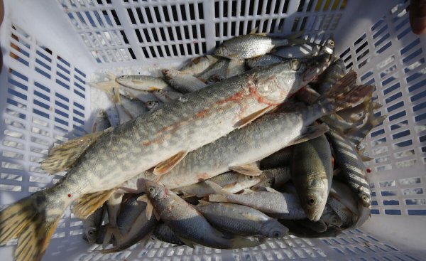 北屯市属于新疆哪里