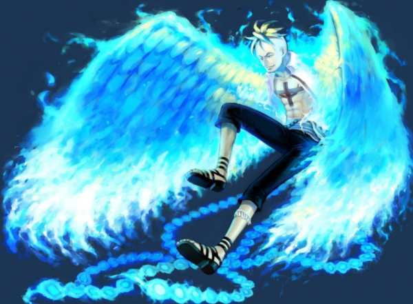 海贼王中最稀有的果实排名