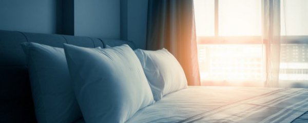 梦见大象的追赶是什么预兆