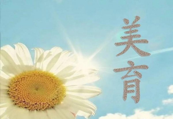 谈谈你对美育的理解概念