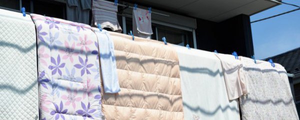 被子长期不晒的后果