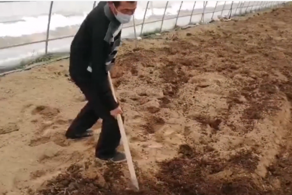 羊粪属于什么肥料