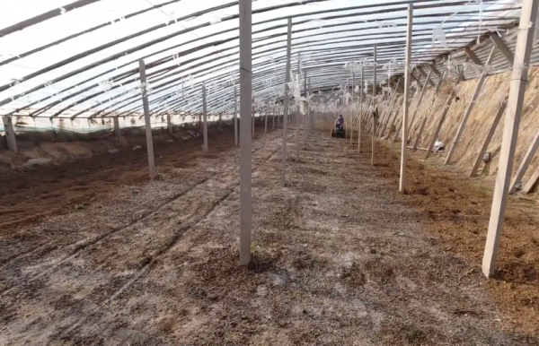 羊粪属于什么肥料