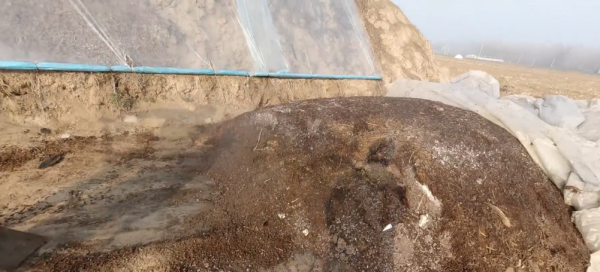 羊粪属于什么肥料