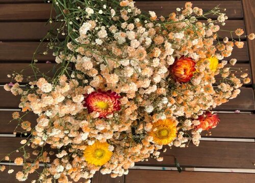 勿忘我怎么做干花