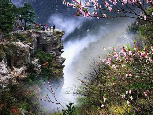 大林寺在哪个地方