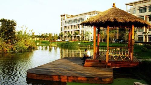 想当国家干部应该考哪个大学