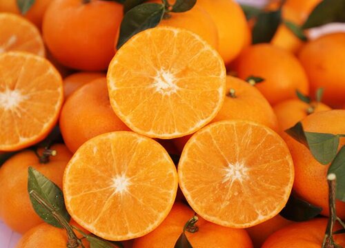 贵州水果有哪些