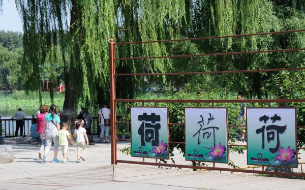 中山最好的小学排名