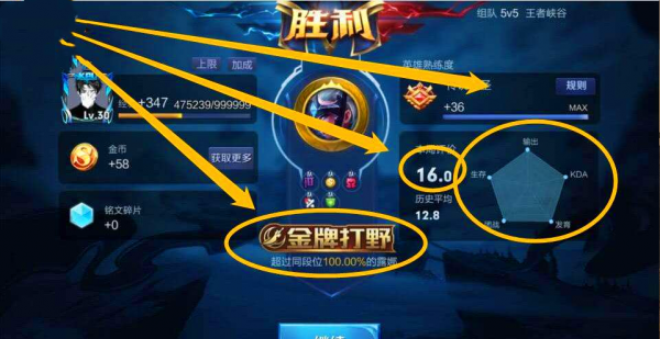 16.0是王者最高评分吗