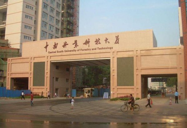 湖南大学十大排名
