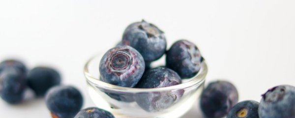 蓝莓适合什么季节播种