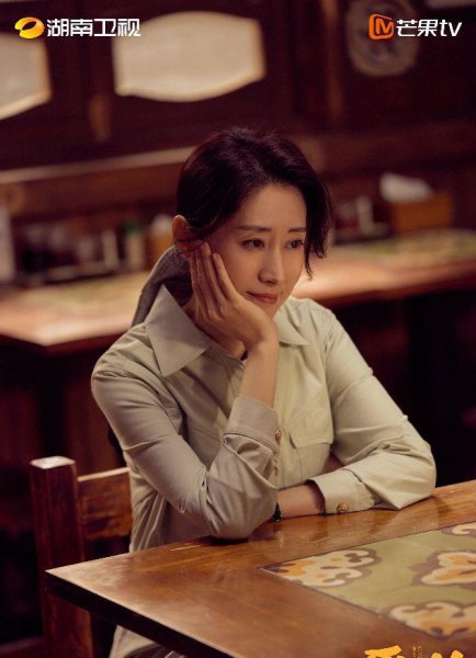 张嘉译和刘敏涛主演的电视剧