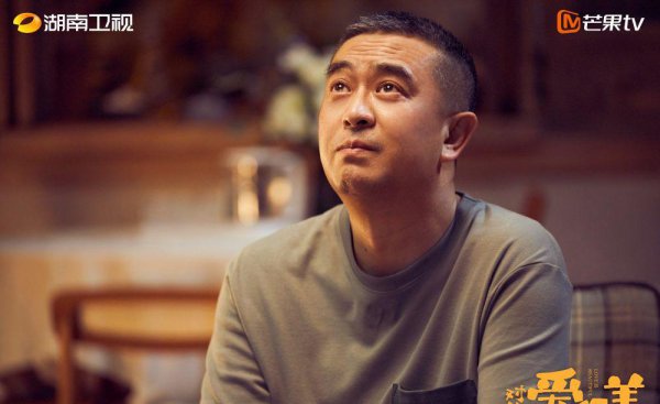 张嘉译和刘敏涛主演的电视剧