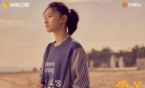 张嘉译和刘敏涛主演的电视剧