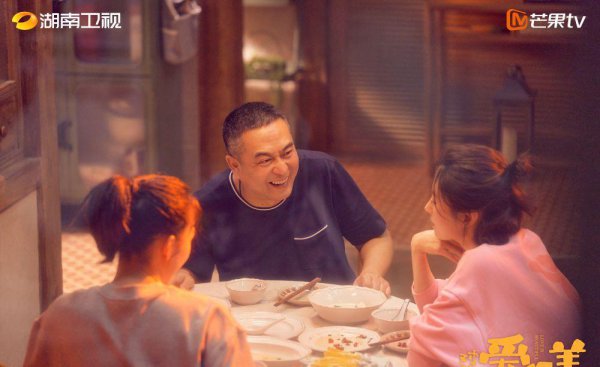 张嘉译和刘敏涛主演的电视剧