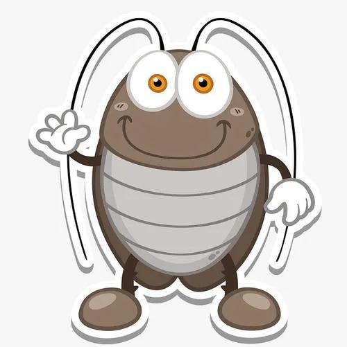 蟑螂为什么叫小强