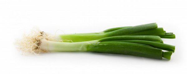 山东大葱冬季储存方法