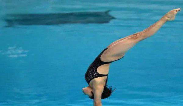 常见的文体有哪几种