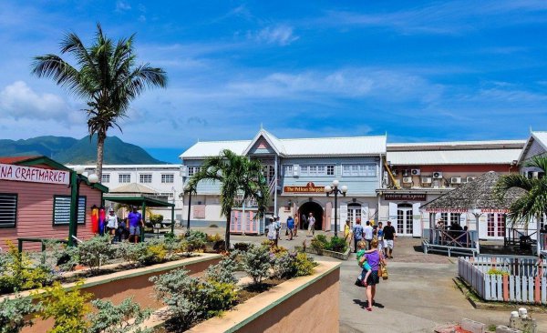 圣基茨移民条件及流程