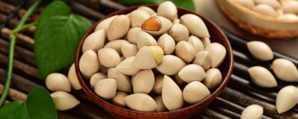 新鲜白果去壳如何保存