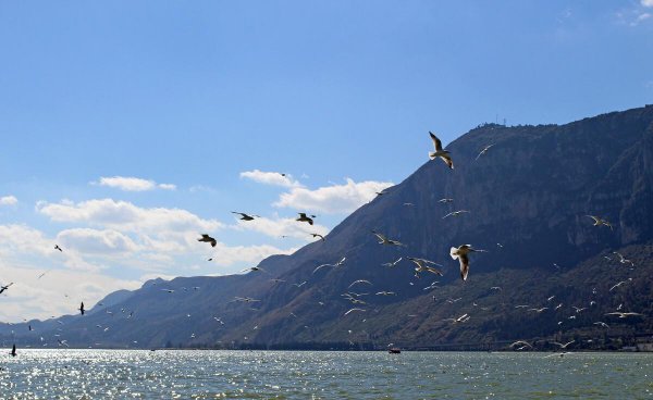 昆明一日游的最佳攻略
