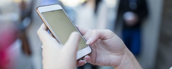 扇贝怎么设置单词量