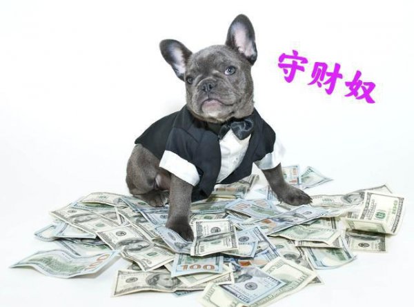 十二生肖哪个最抠门