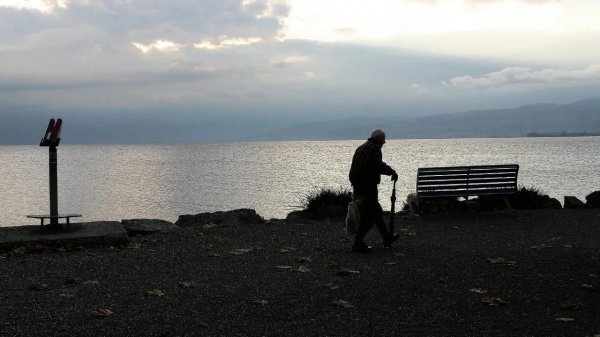 知天命之年唯美句子