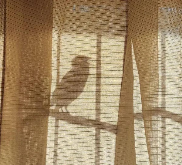 知天命之年唯美句子