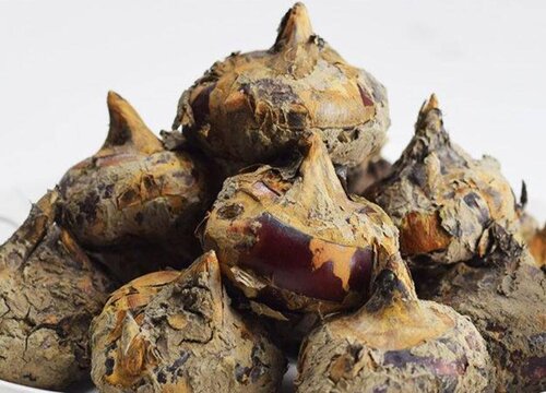 马蹄怎么削皮快又好