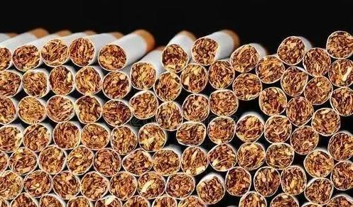 烟草公司招聘一般要什么专业