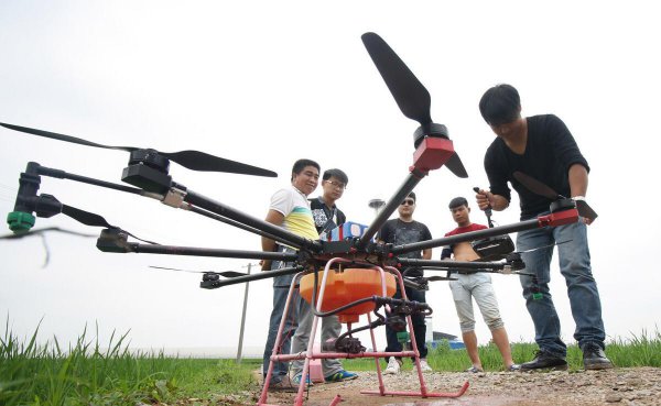 1亩朝天椒一年收入多少