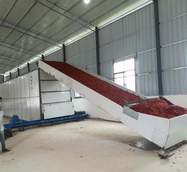 1亩朝天椒一年收入多少