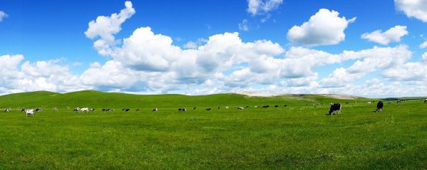 我国第二大高原是什么高原