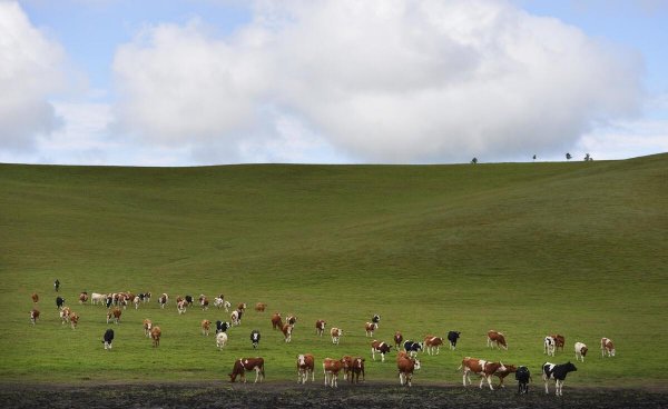我国第二大高原是什么高原