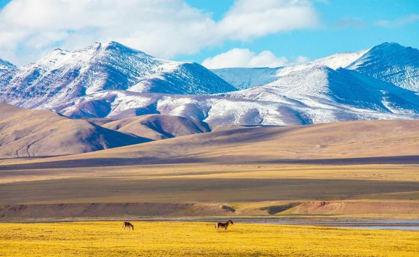 我国第二大高原是什么高原