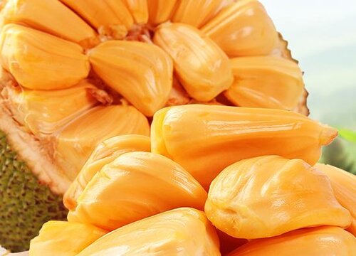 菠萝蜜怎么保存时间长