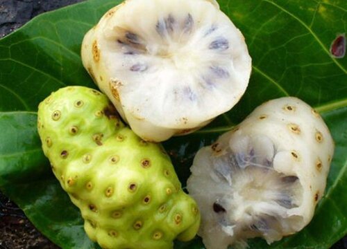 十大最难吃的水果