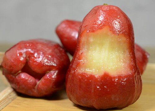 十大最难吃的水果