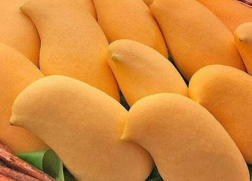 十大最难吃的水果